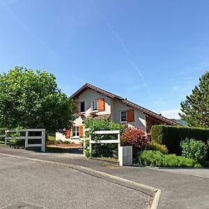 Maison Complete Entre Annecy Et Aix-Les-Bains Румийи Exterior photo