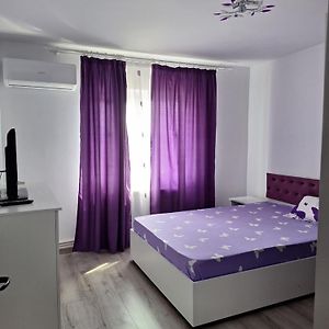 Апартаменты Apartament Sara Birlad Exterior photo