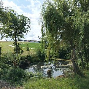 Апартаменты Wohnen Im Gruenen Pregarten Exterior photo