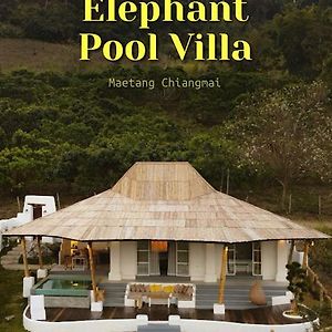 Elephantpoolvilla Maetang Chiangmai Ban Muang Kut Exterior photo