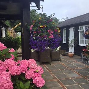 Bed and Breakfast The Coach House Rudgwick Exterior photo