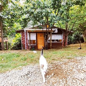 Вилла Cabana Ciruelo En Camping Donde Jorge Кастро Exterior photo