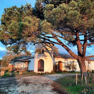 Вилла Le Castel De Lamothe Сотерн Exterior photo