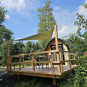 Отель Tiny House De Kwekfink Westergeest Exterior photo