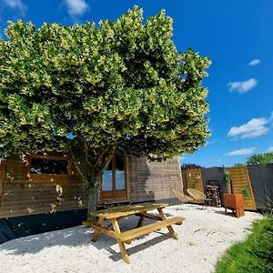 Вилла Tiny House Petite Balneo Cheminee Exterieure Lisle-sur-Tarn Exterior photo