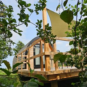 Отель Tiny House De Skierroek Westergeest Exterior photo