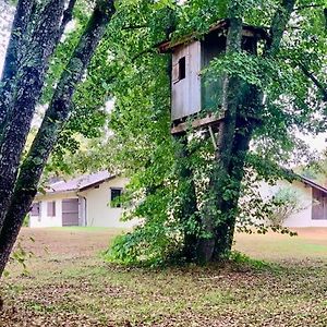 Вилла Le Refuge Des Bois Виландро Exterior photo