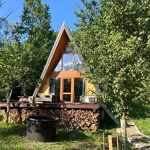 Вилла Pumbaa House At Casa Twiga, Melicesti, Prahova, Romania Exterior photo