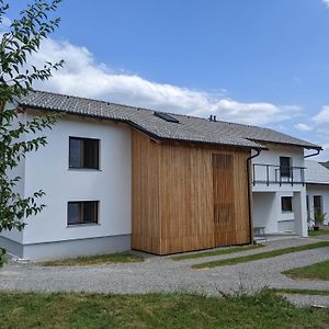 Klancarjeva Domacija - Spacious Countryside Apartment On An Eco Farm Videm  Exterior photo