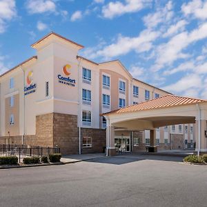 Comfort Inn & Suites Тифтон Exterior photo