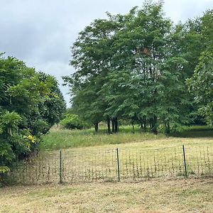 Вилла Domain De Montvert - 5 Min From Saint Emilion Sainte-Terre Exterior photo