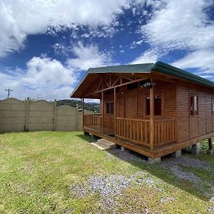 Вилла Cabana Tulipanes - Cozy Cabin In An Awesome Place! Jardin Exterior photo