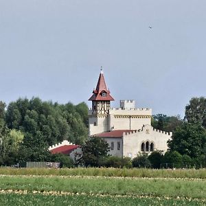 Отель Burg Schleibnitz Bei Wanzleben Exterior photo