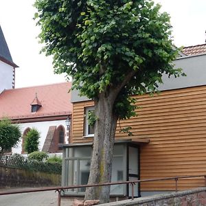 Holiday Apartment Uhu In The House On Linden Tree Dernbach  Exterior photo