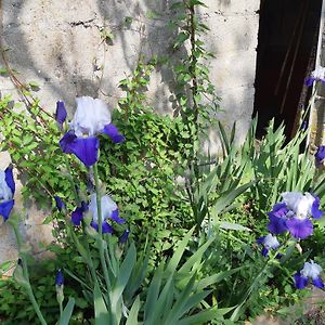 Отель La Lumiere De Jardin En Goguette Поншато Exterior photo