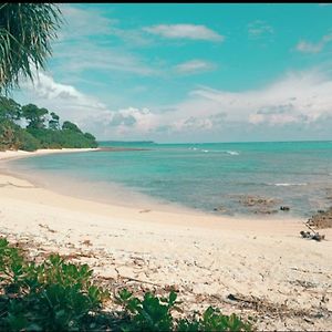 Отель Mallick Palace Neil Island South Andaman Ram Nagar Exterior photo