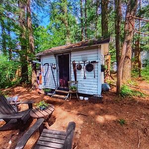 Вилла The Stabbin Cabin On Grant Island, Brantingham Lake - Hottub, Boat, Pet Friendly Glenfield Exterior photo