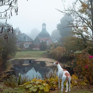 Le Chateau De Bonnemare - Bed And Breakfast Радпон Exterior photo