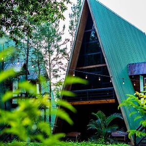 Hotel De Cristal & Hacienda De Los Morales Сан-Мигель Exterior photo