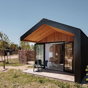 Nice Lodge With A Roof Window On The Brielse Meer Zwartewaal Exterior photo