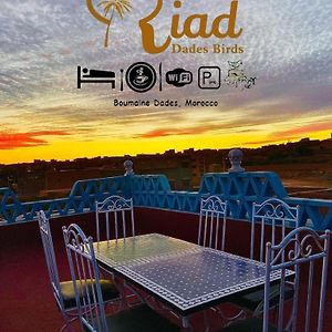 Отель Riad Dades Birds Boumalne Dades Exterior photo