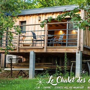 Апартаменты Bnb Toulouse - Le Chalet Des Coteaux - Cadre Magnifique - Wifi - Parking Castelginest Exterior photo