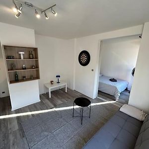 Appartement Avec Parking Gratuit Тулуза Exterior photo