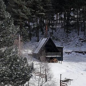 Вилла Mountain Waltz Казбеги Exterior photo