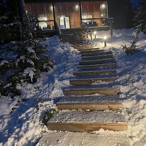 Lakeside Villa With Hole In The Ice Kangasniemi Exterior photo