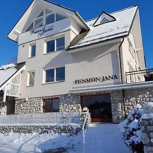 Отель Pension Jana - Wellness Йилемнице Exterior photo