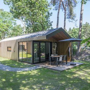 Вилла Modern Chalet With Air Conditioning, On A Holiday Park At 12 Km From Eindhoven Мирло Exterior photo