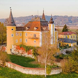 Apartments Am Schloss Muehldorf Фельдкирхен-на-Дунае Exterior photo