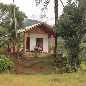 Bed and Breakfast Forest & Fields Sinharaja Денияйя Exterior photo