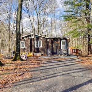 Вилла Mtn Views And On-Site Hiking Trails Catskills Cabin Round Top Exterior photo