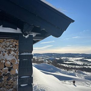 Вилла Chalet Skogshorn Markegardlian Exterior photo