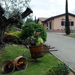 La Corte D'Emilio B&B Виньола Exterior photo