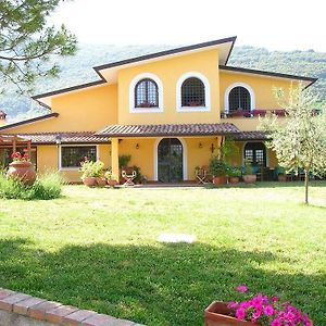 Отель Azienda Agricola Il Bagolaro Nerola Exterior photo