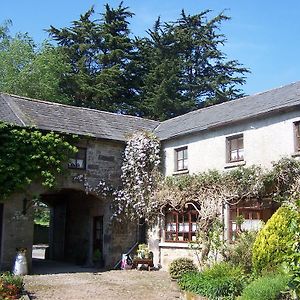 Ballinacourty House B&B Типперэри Exterior photo