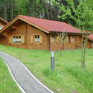 Вилла Blockhaus Bayerischer Wald Stamsried Exterior photo