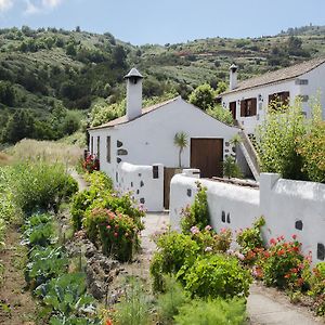 Вилла Casa Rural La Cuna Лос-Силос Room photo