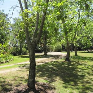 Отель Summerhills Retreat Byron Bay Binna Burra Exterior photo