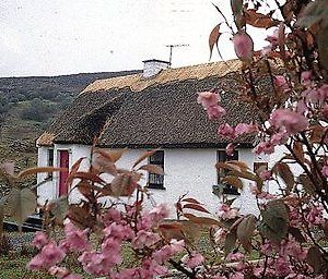 Connemara Country Cottages Голуэй Exterior photo