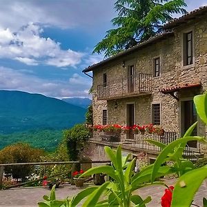 B&B Il Casale Delle Pianacce Кастильоне-ди-Гарфаньяна Exterior photo