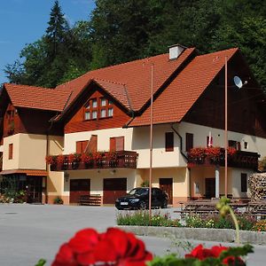 Отель Pri Vidrgarju Vace Exterior photo