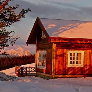 Lostegard Cabins Гуль Room photo