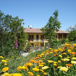 Гостевой дом Casa Calendula Cassinasco Exterior photo