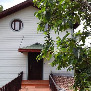Bed and Breakfast Vira Creek House Агва Exterior photo