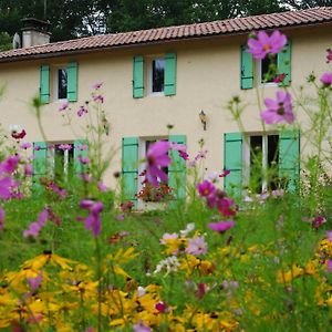 Chambres D'Hotes La Teoulere Saint-Martin-Curton Exterior photo