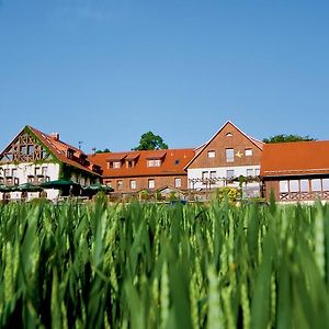 Hotel Neue Hoehe Klingenberg Exterior photo