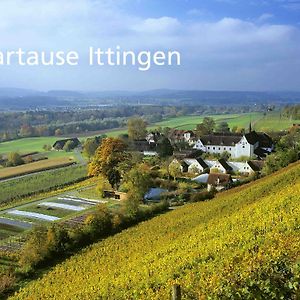 Отель Kartause Ittingen Warth-Weiningen Exterior photo